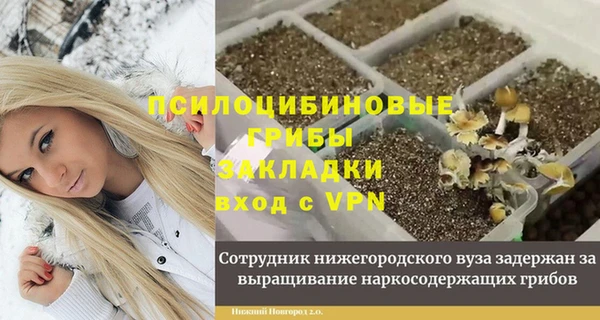 сатива Абинск