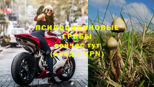 первитин Инта