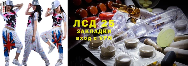 сатива Абинск