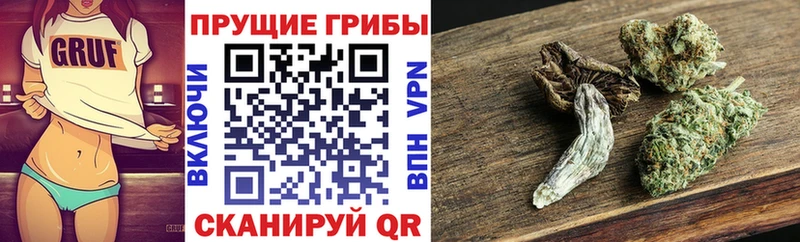 Галлюциногенные грибы Psilocybe  цена   Приволжск 